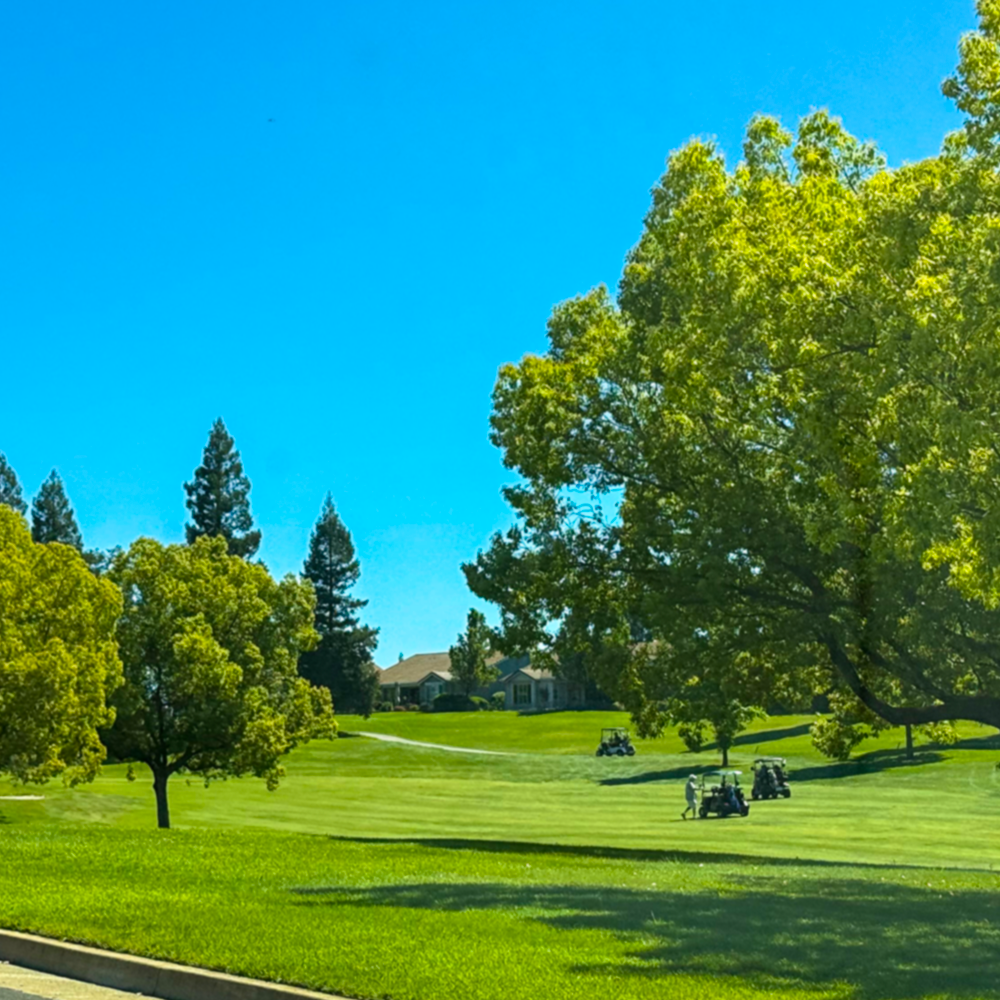 Golf Course in Rocklin